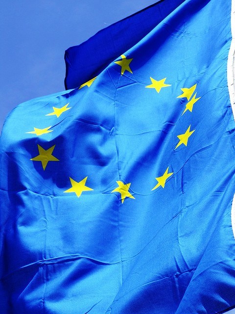 EU Flag Upclose Vertical