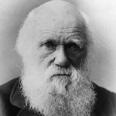 Charles Darwin Charles Darwin Running