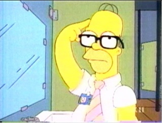 Homer the Genius