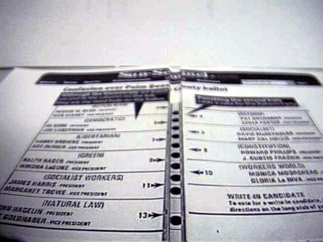 Government Giving Voters Ballot Examples