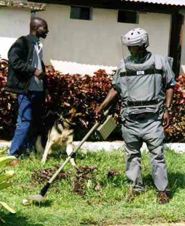 Minesweeper w Metal Detector and Dog Minguo