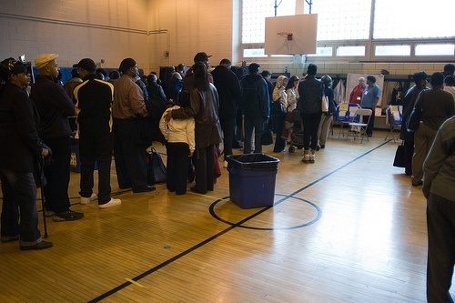 African American Voting Lines Minority Vote
