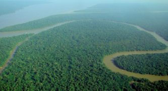Study: Human Rights Laws Are Best Way To Protect The Amazon