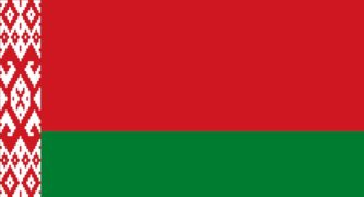 Belarus Forces Down Plane Carrying Dissident