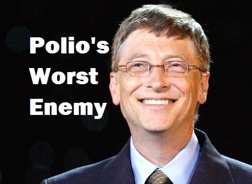 bill gates end world polio enemy