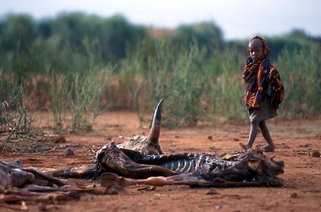 poverty and famine in africa third world security