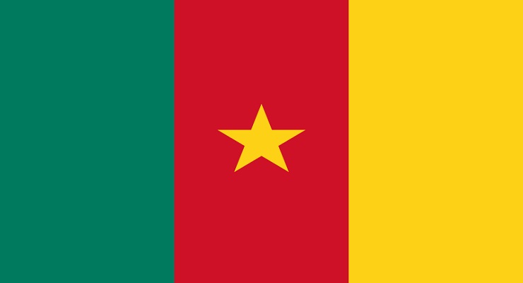 Cameroon: legislative and parliamentary elections marred by violence