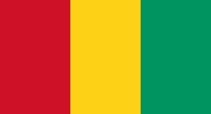 Guinea Junta Bans Political Protests