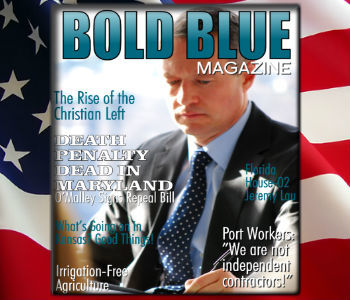 blue bold media There Are No Choices On The Ballot