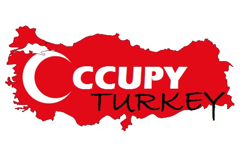 new national Occupy Turkey movement as political force