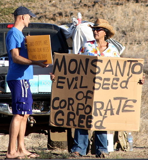 Occupy Wall Street Maui at Monsanto Protection Act