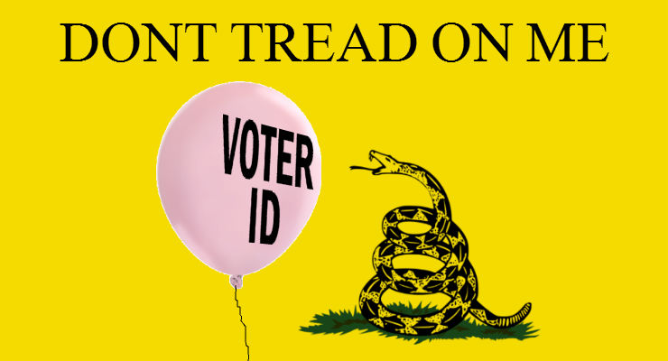 Texas Voter ID Reinstated Votes