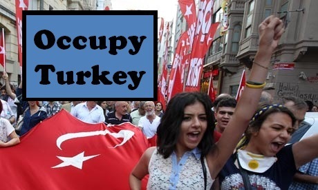 occupy turkey protest flags