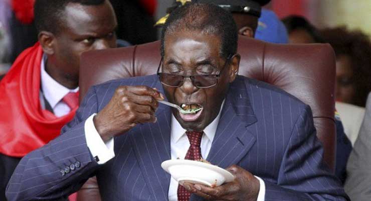 Mugabe's 92nd Birthday