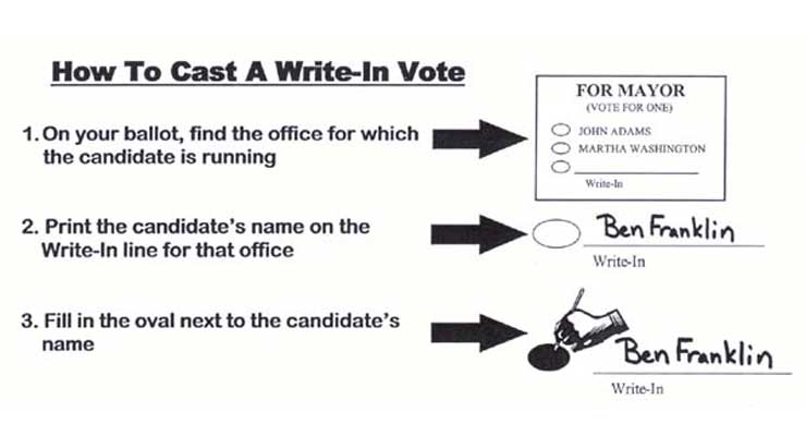 Write-In Candidate