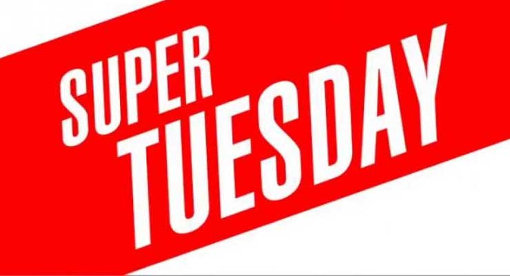 Super Tuesday Voter ID