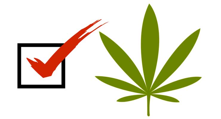 Recreational Marijuana Ballot