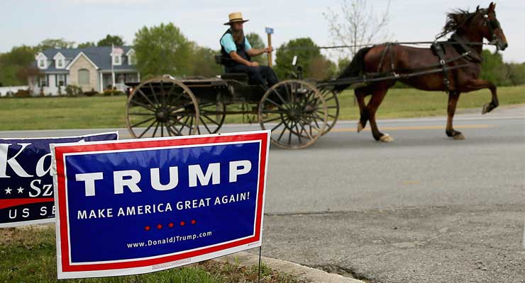 Amish Vote