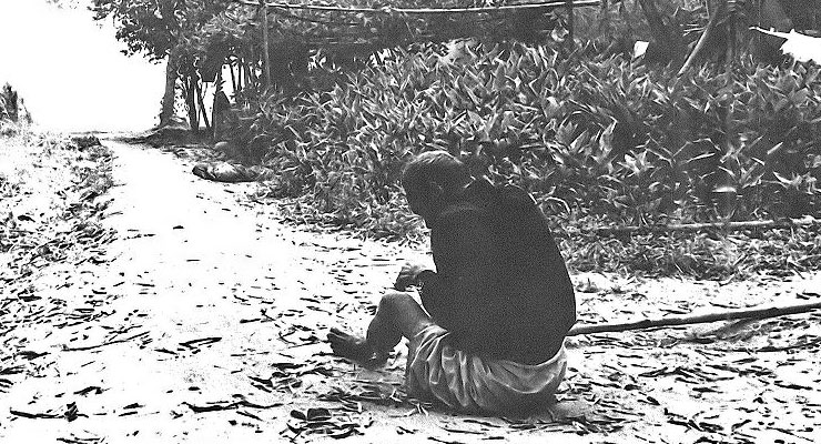 My Lai Massacre by US troops