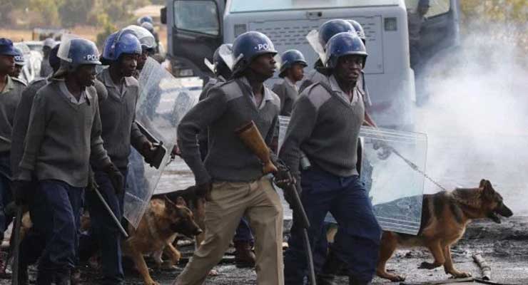 Systematic Zimbabwe Police Brutality