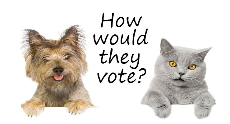 Voting pets and dead people Democracy