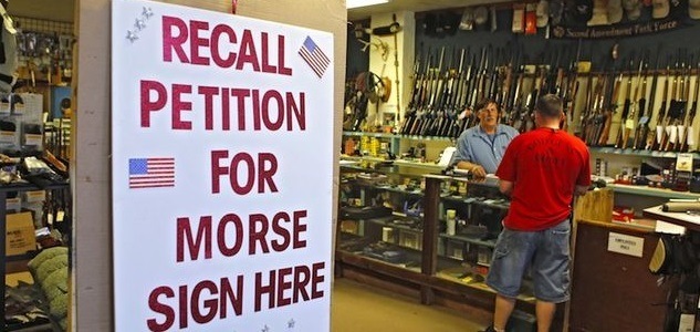 Elections to Oust Lawmakers: ammunition magazines and expand background checks to private gun sales. (AP Photo/Ed Andrieski)