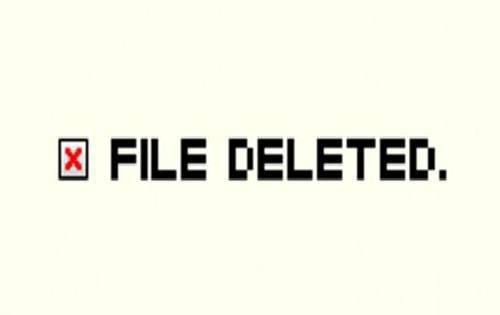 Impact of Paperless Government file deleted transparency