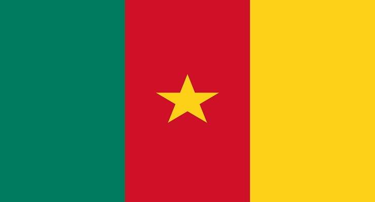 Two Candidates Claim Victory In Cameroon Vote