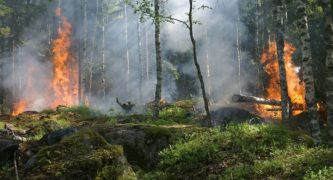 Indonesian Forest Fires Highlight President's Campaign Gaffe