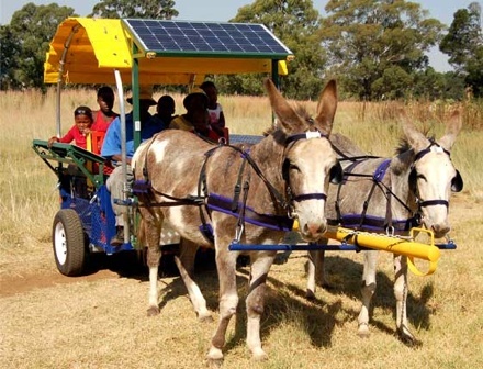 Five activists Innovative democracy social innovation solar panels donkey car