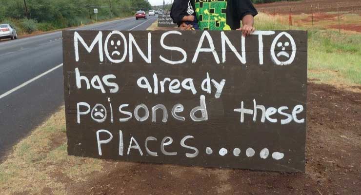 Monsanto Family