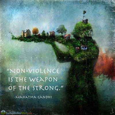 Nonviolent Strategy