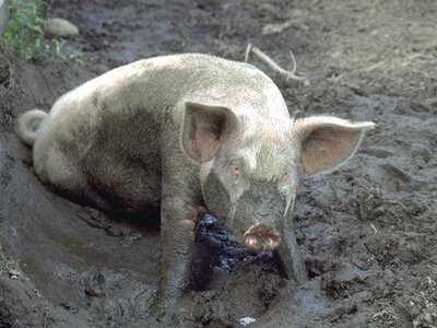 Major parties and politicians love pork barrel spending excesses