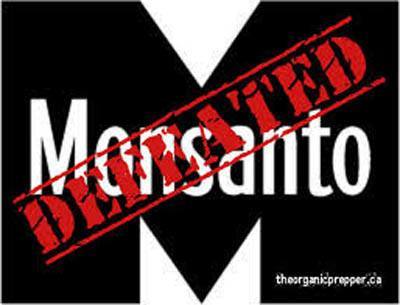 Monsanto Corporation in rare loss to Anti-Monsanto Movement