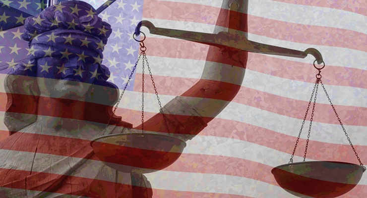 Executive Immunity and Institutional Erosion