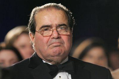 Supreme Court Justice Scalia on voting comments
