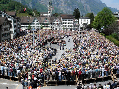 Make Changes to Model Swiss Democracy