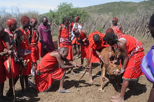 masai meeting talks kenya indigenous tribe