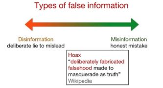 State-sponsored disinformation – the elephant in the room